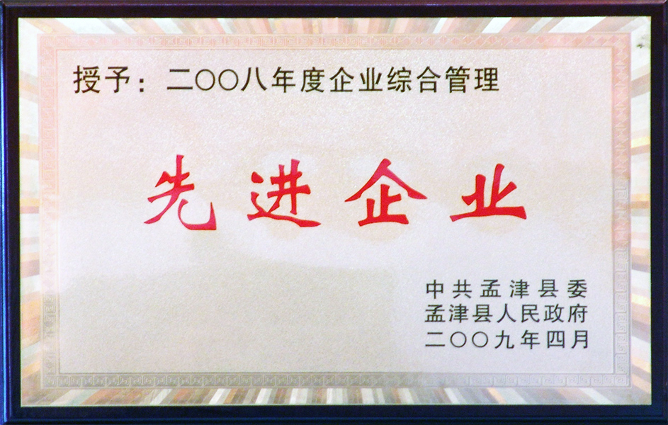 2008年企業(yè)綜合管理先進企業(yè)